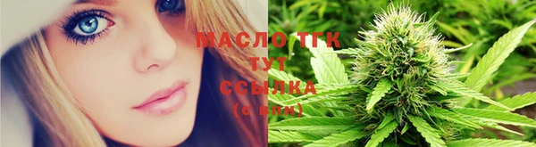 мяу мяу мука Магадан