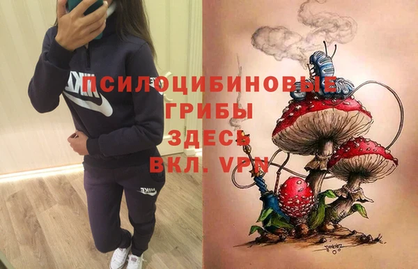бошки Магас