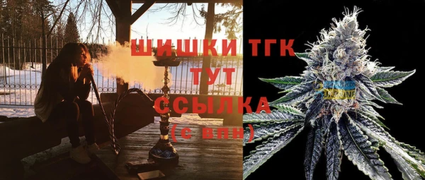 эйфоретик Майский