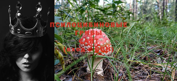эйфоретик Майский