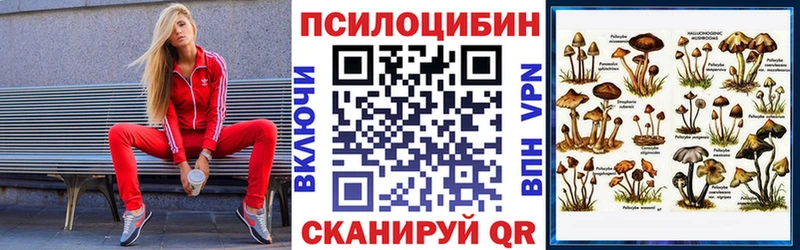 гидра ТОР  как найти закладки  Усть-Джегута  Галлюциногенные грибы прущие грибы 