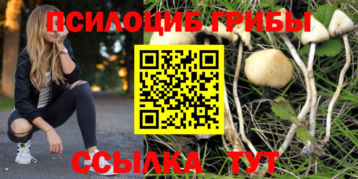 Усть-Джегута  Псилоцибиновые грибы Psilocybine cubensis  Галлюциногенные грибы Magic Shrooms  Вход с VPN 
